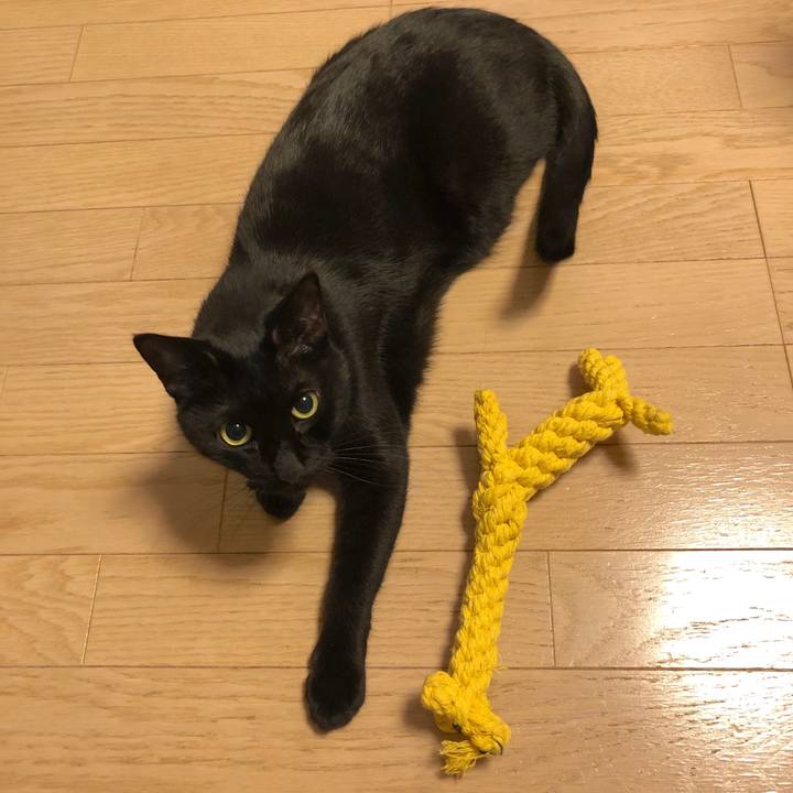 726078d6 b554 4eb6 84ae b246d0d1f946 1553014286848