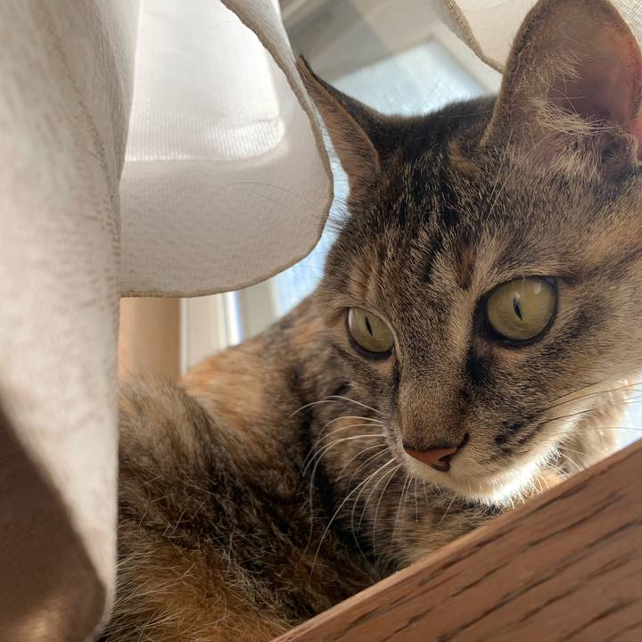 7260fd7e d83f 4c72 bed3 aad84cefe9d5 1671013580221