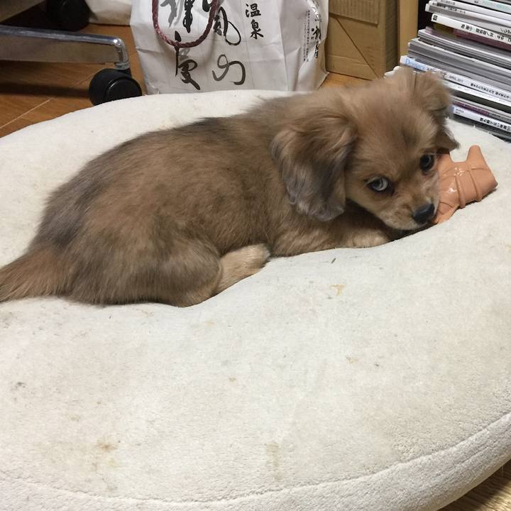 726104ce 624a 4765 9dd8 533d91dba574 1544047917131