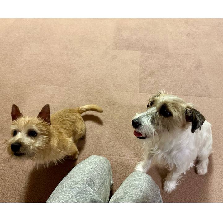 726114de ade9 4376 84f1 28b9601ee5ef 1705752146245