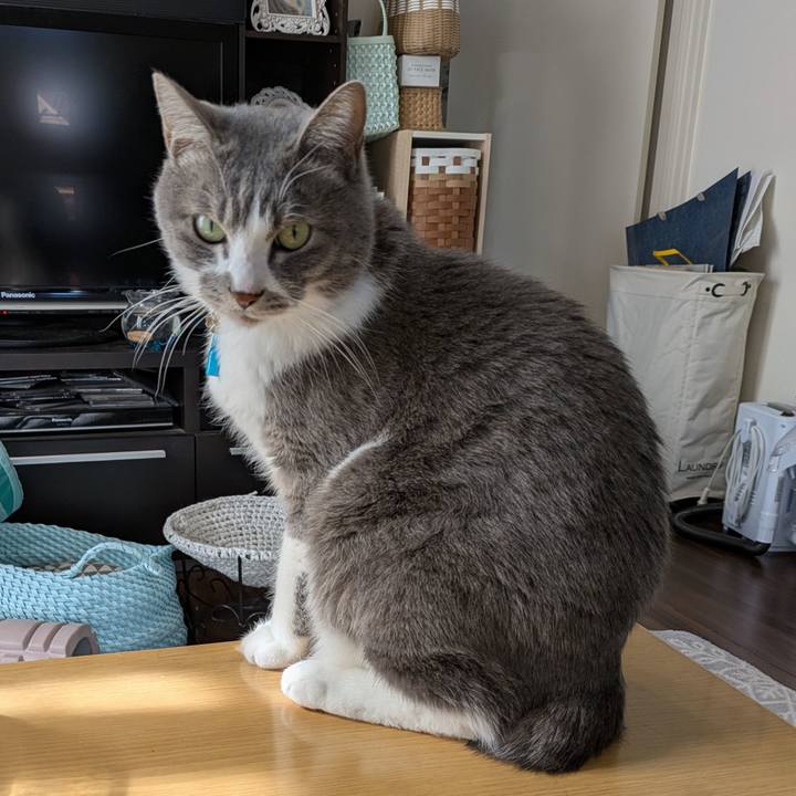 72613e7a 636f 45e8 aca2 45e647de0304 1739949045517