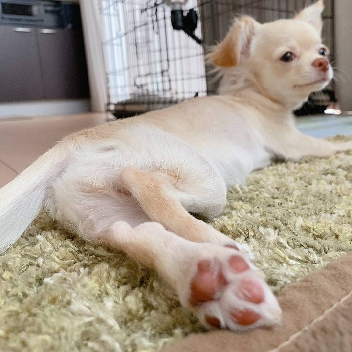 72615bd3 0494 4cb7 b955 5cfd6be6fef8 1594028530840