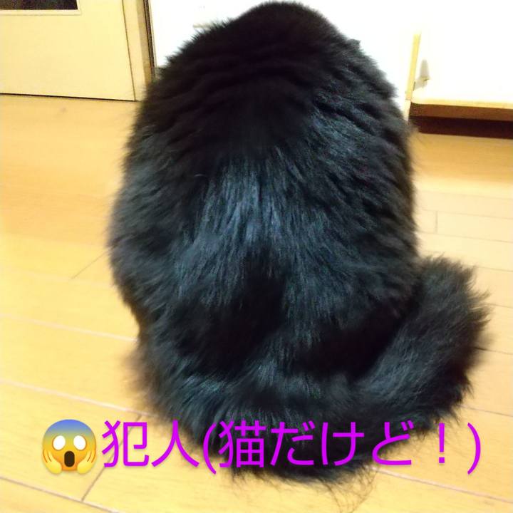 7261d57d ccea 487b 8b22 db7315df3f9a 1679571159276