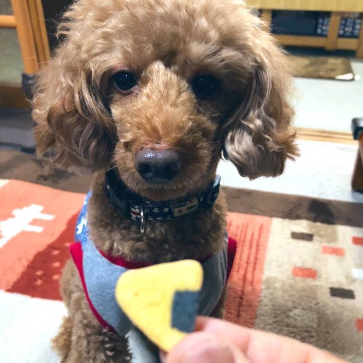 7261df70 bdb0 48ca bf9a 5ca4135eed5e 1615104981543