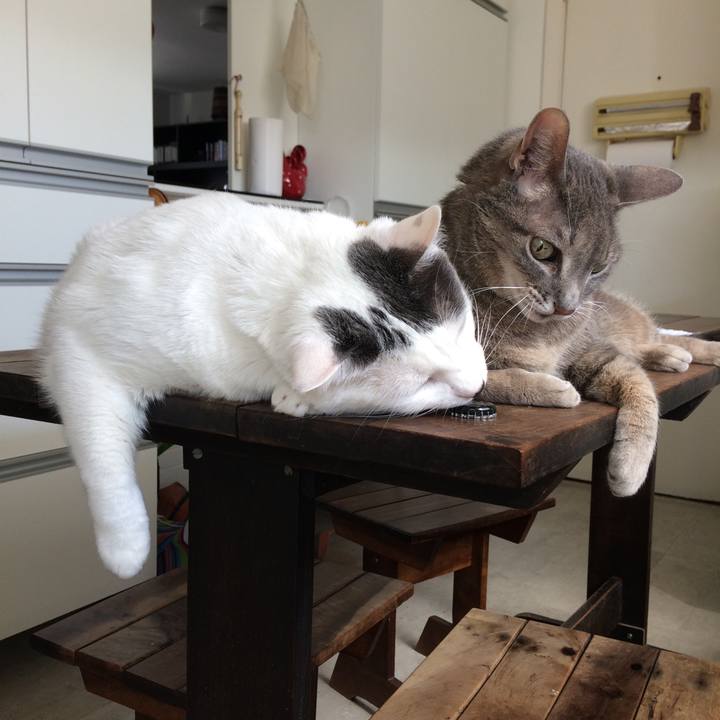 7261eccb 47de 4ca4 9212 824340e638cd 1508693534150