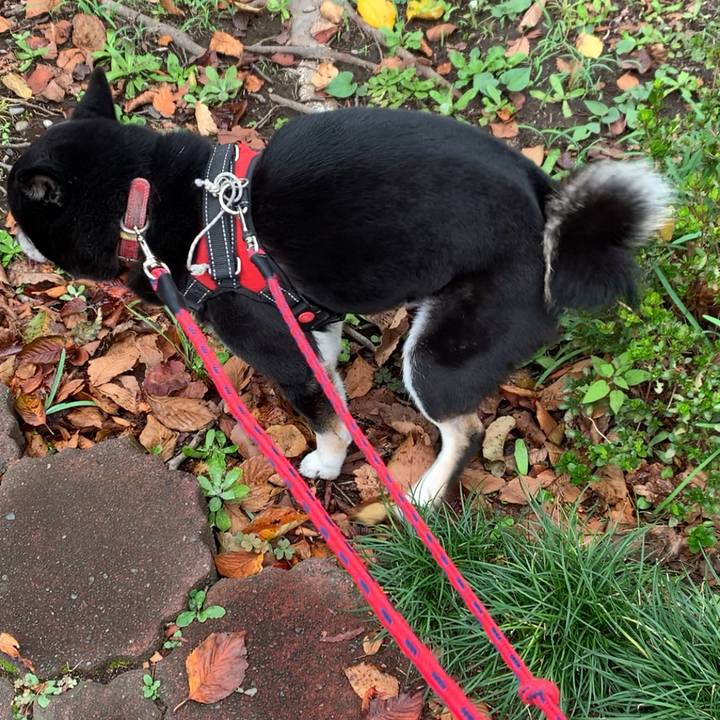 7261fe7a 89d5 446c 9a89 79bde6b82ec3 1633597589566