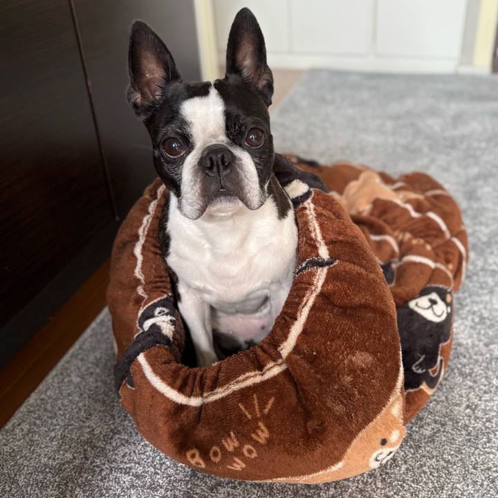 72620b7e bb24 4312 8c33 9887609ed4ef 1762603996009