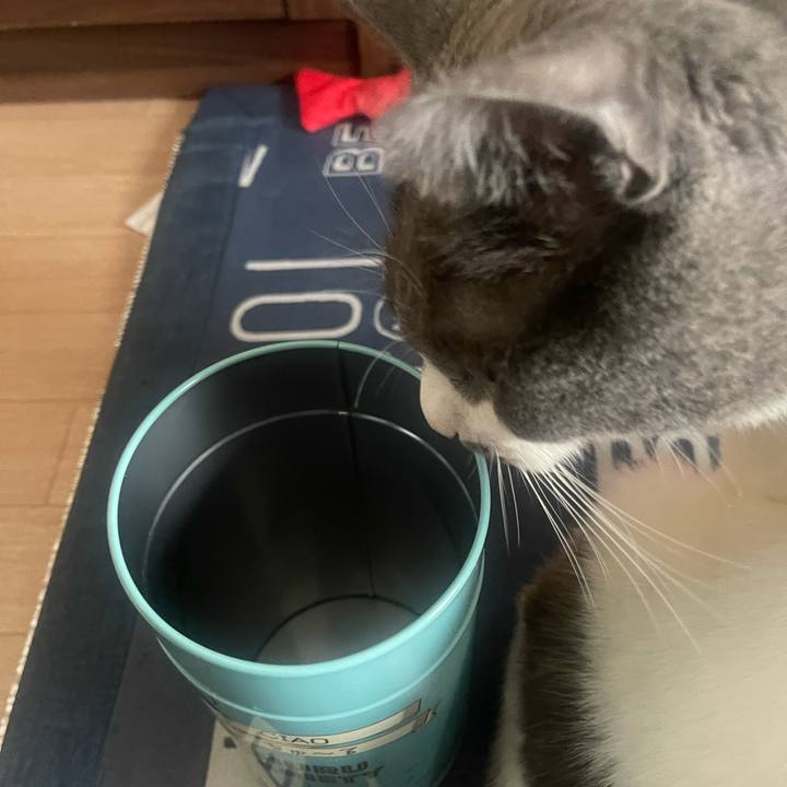 7262145c b21c 4919 9a15 354387a440d0 1724744574702