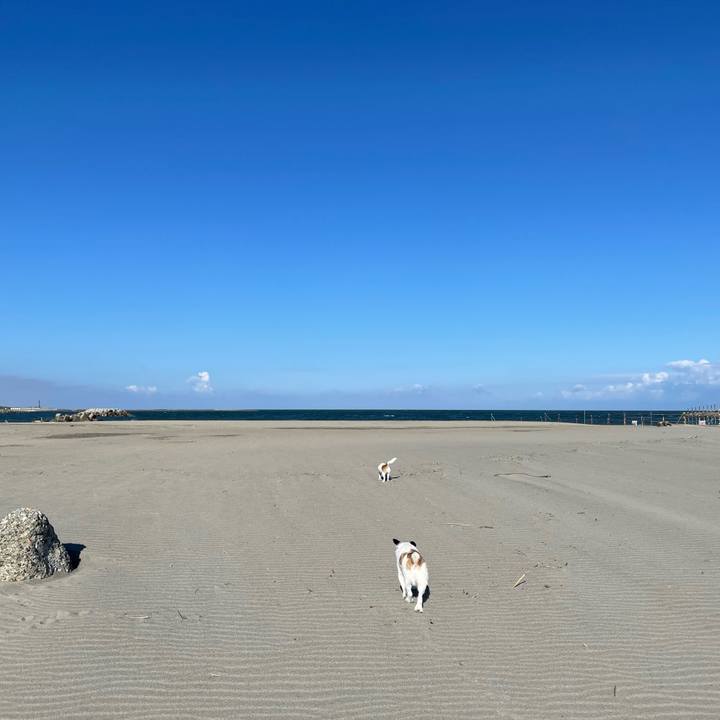 72621c35 a703 496e 9d79 d5f3eb827a9b 1653694826970