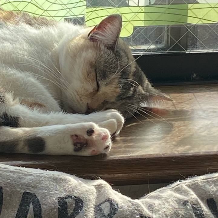 72624900 e7b4 415b a08b d4b1e90a0436 1607229702934