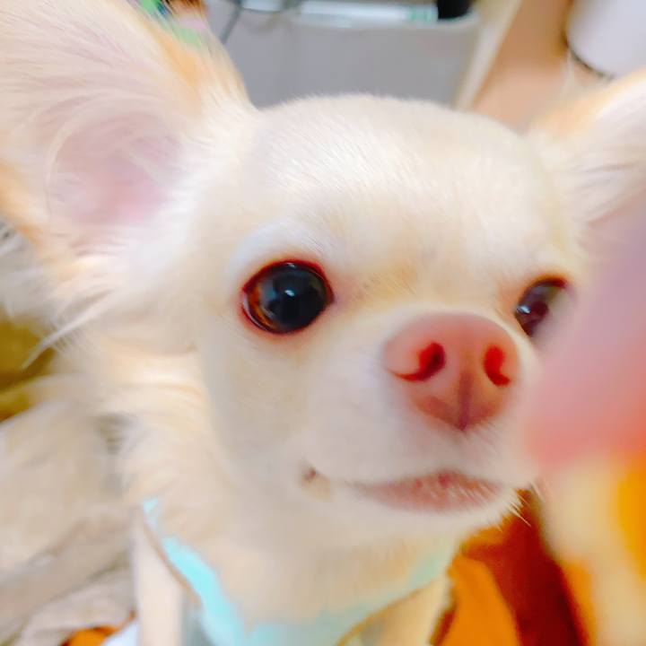 7262e03a 144e 4965 8b44 b37d33206d76 1638538540565