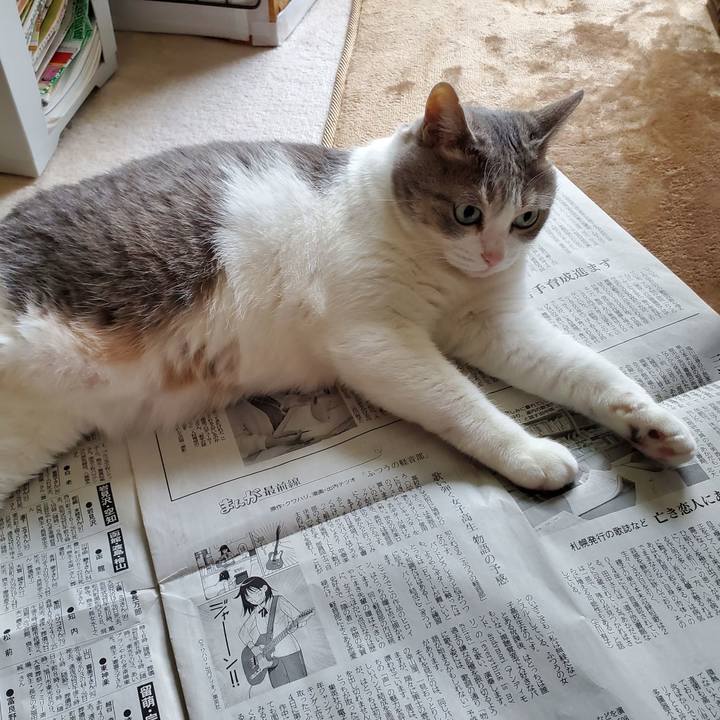 72630ece bed4 44c0 90f9 2127b1c8cf73 1716949970889