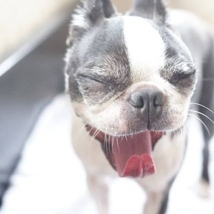 726331d6 30ec 4ac8 9171 34a8fcc2452f 1530933421672