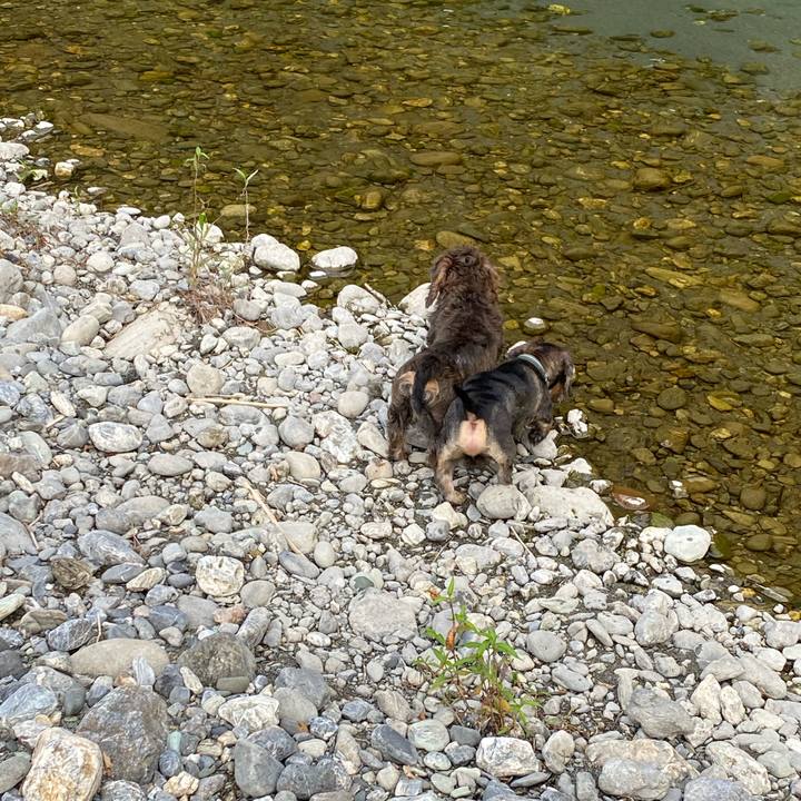 72635c62 8190 4914 9596 270f133352c1 1600752239589