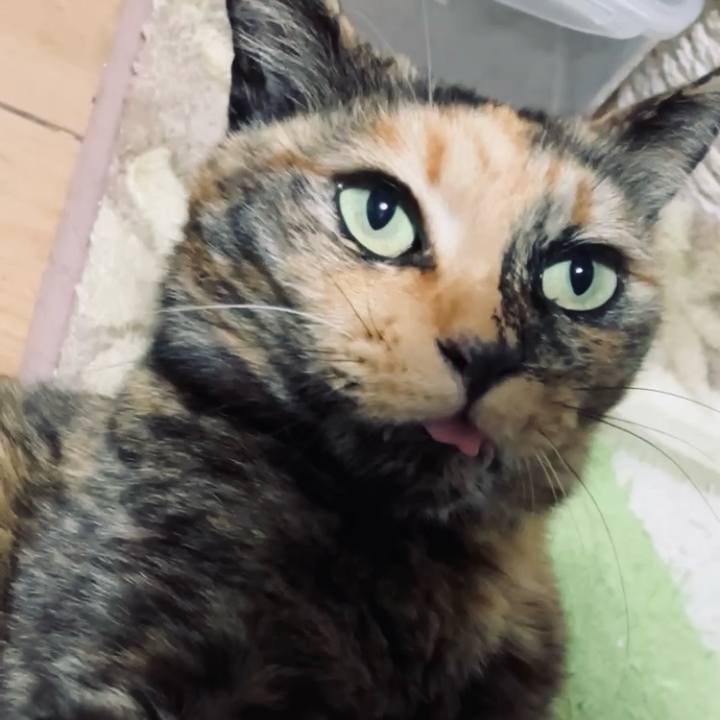 7263b929 aa0b 48cf 992a 223126a4a58e 1742764435173