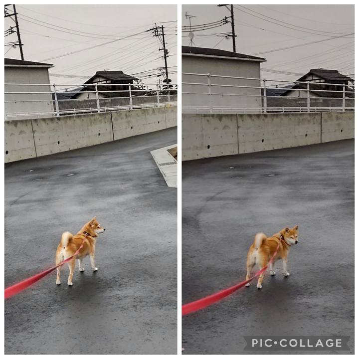 7263c232 f553 4b57 b77b 816bf6de4c87 1766275690220