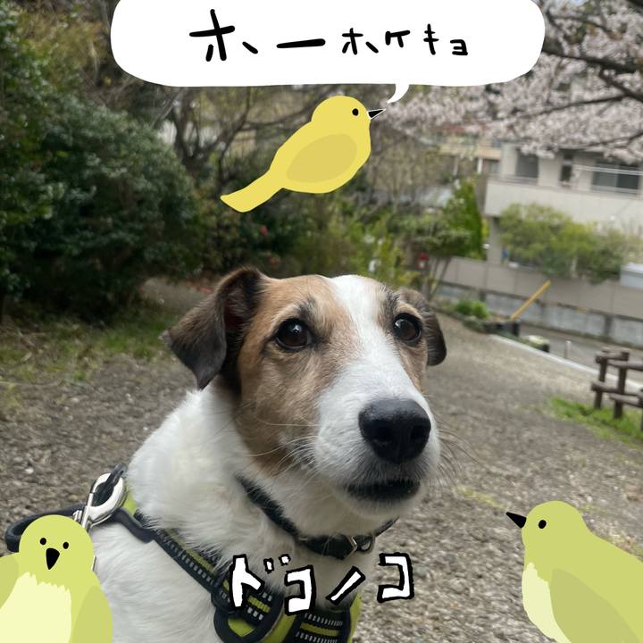 7263d2d0 5ed9 4c03 b80d eb8014fc555c 1711011338335
