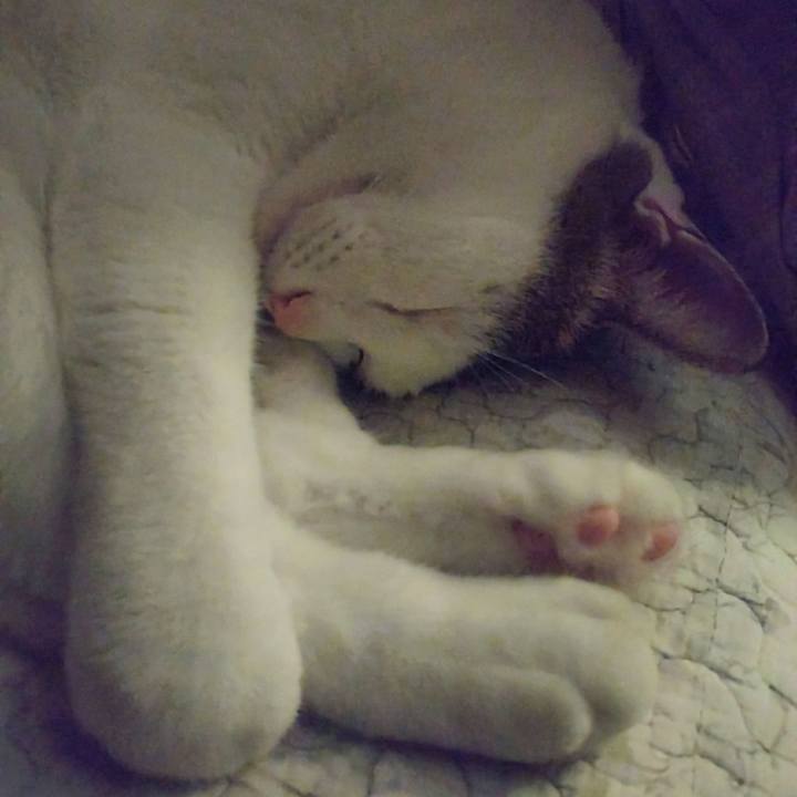 7264083d 49f4 49b2 8f24 46a4d16e8076 1757860211650