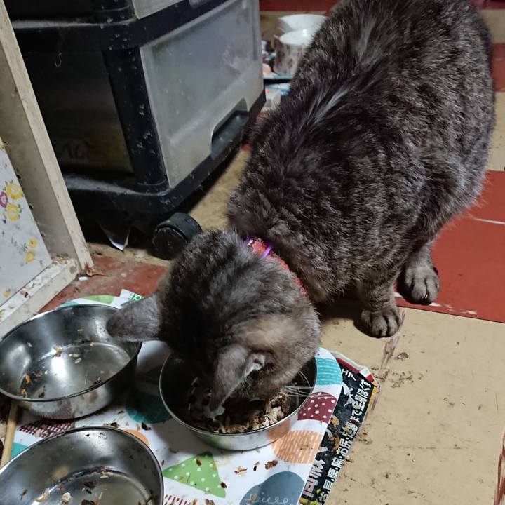 72643e29 2831 4748 ae04 4a0b0f3bfb33 1592681332843