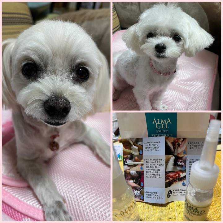 7264f042 5add 4932 b70e 06e135c7b031 1720438827396