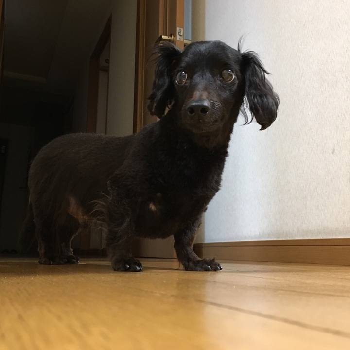 7265151c 28c5 4ad8 9c61 0247bb8c36a6 1536532557283