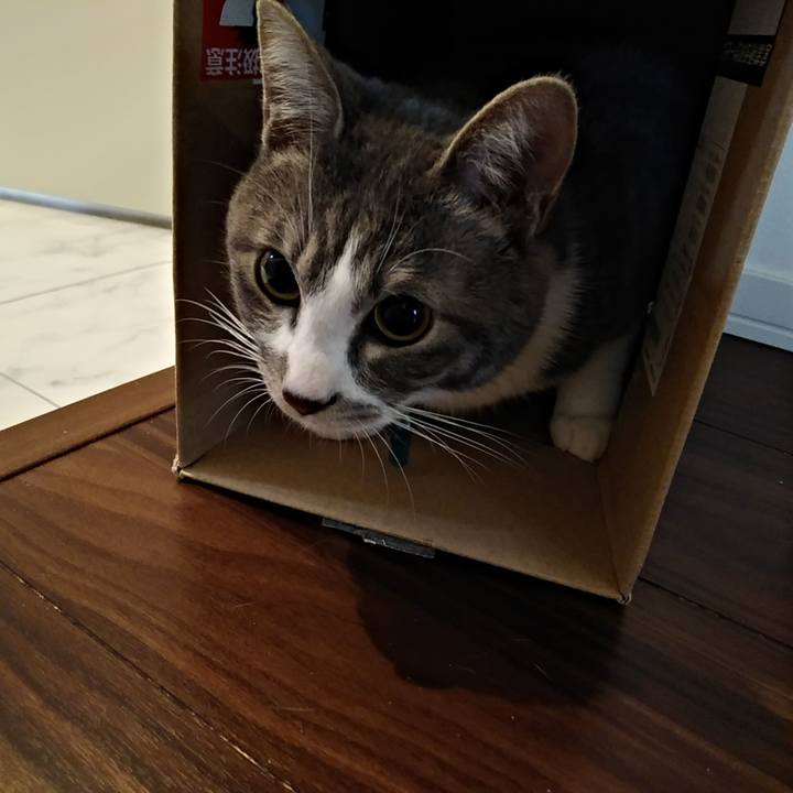 7265672d 846d 4fd1 9be5 a8530df30edd 1583622553806