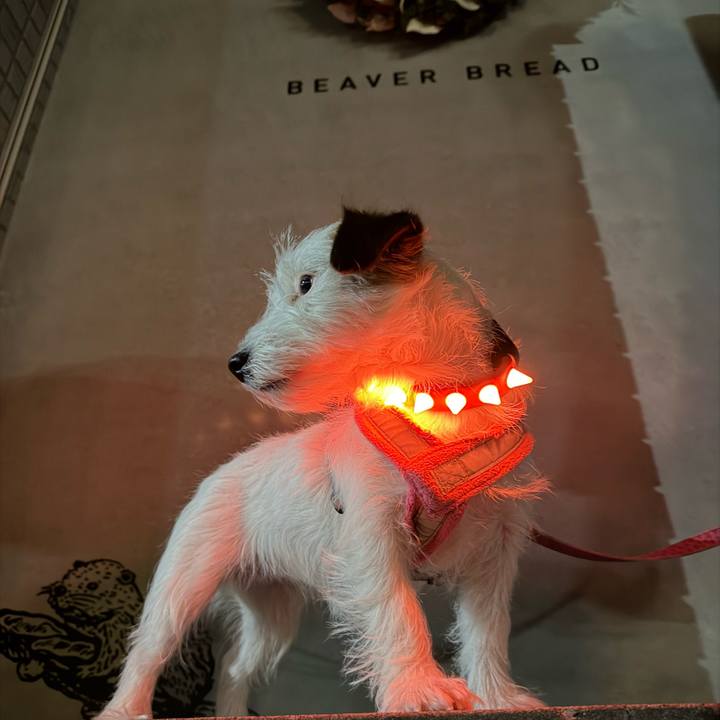 7265acca 75ac 4aa1 a819 468a3bc550b9 1766061198463