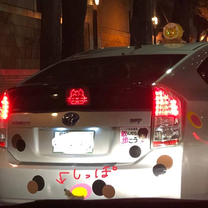 7265ad94 9e01 4acd ad2b 7a97ae8d226f 1541167207696