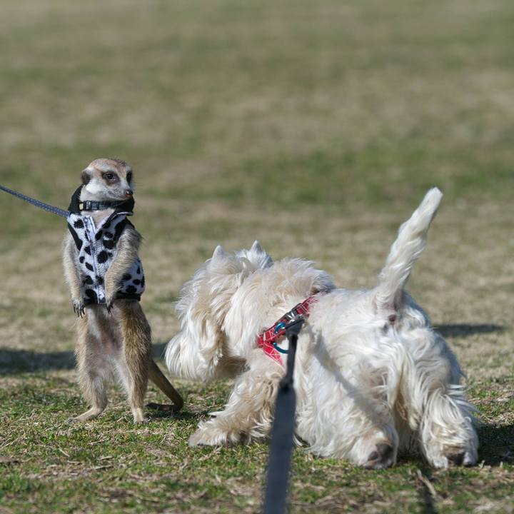 7265e51b 0460 43b1 b03c 5d1e52589d06 1519995834194