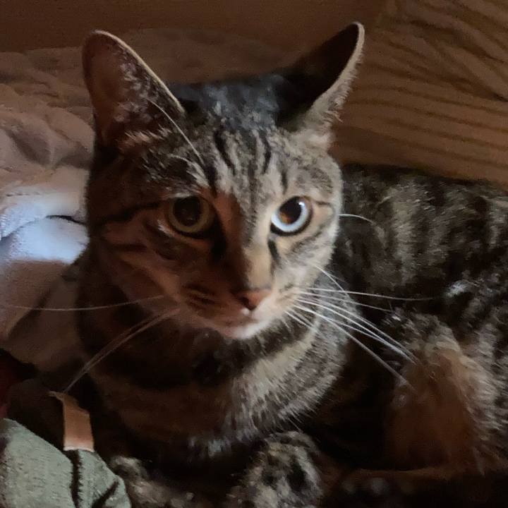 7265eeb7 76e7 4c8b a50d 27140866f2fa 1625455018169