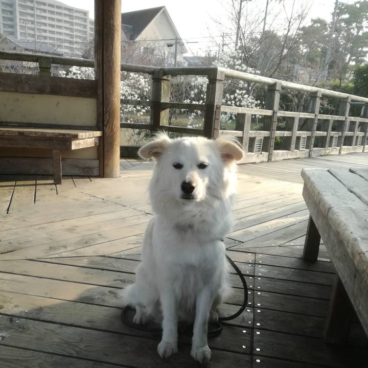 7265f7ba 1e25 47b9 9b45 015937a49b79 1522021735891