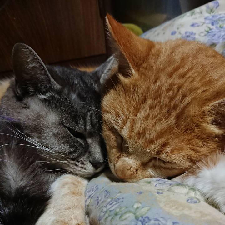 72666df6 ec8d 4ae9 bc6f a2cef4a1f3a5 1579522402830