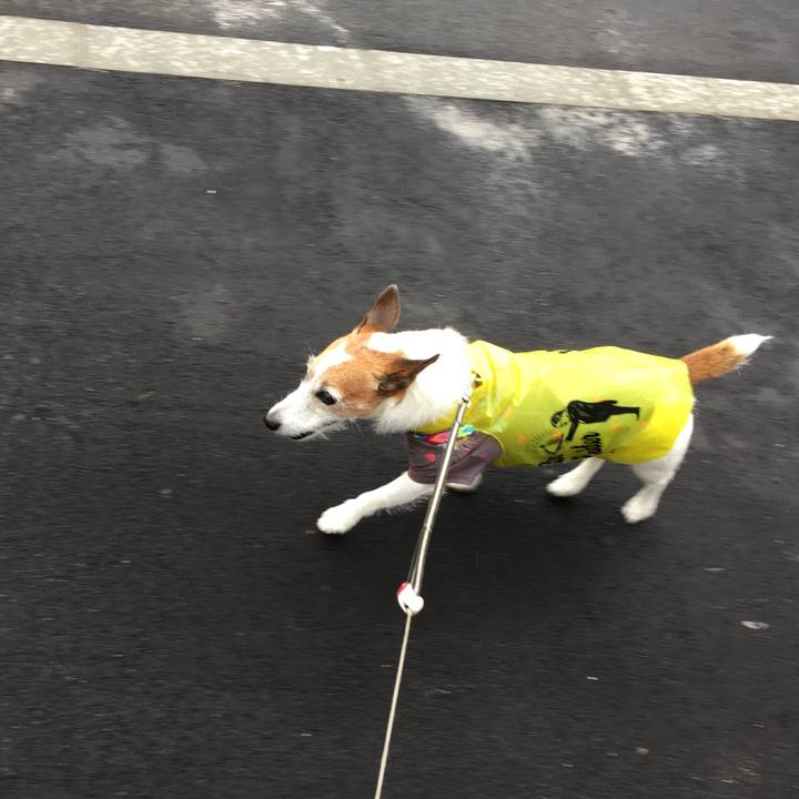 726671fc b4e8 4912 aa3c ebdf38d40f6d 1629156959585