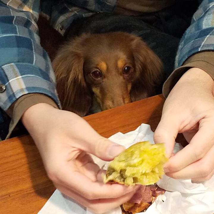 7266b0b6 bf0b 498a 9108 33bafe95733d 1549685792757