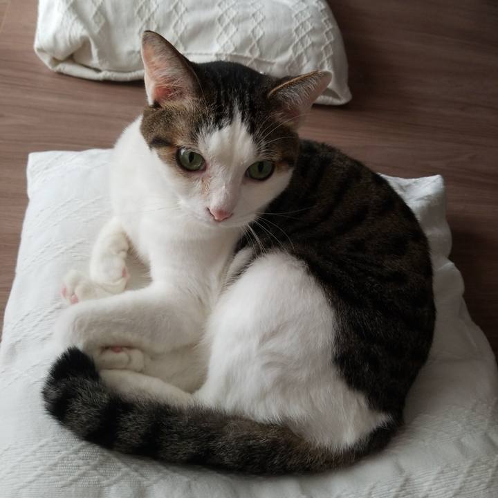 7266b4aa ce8b 4c8b 85ea b7c24fabc3da 1562980656560