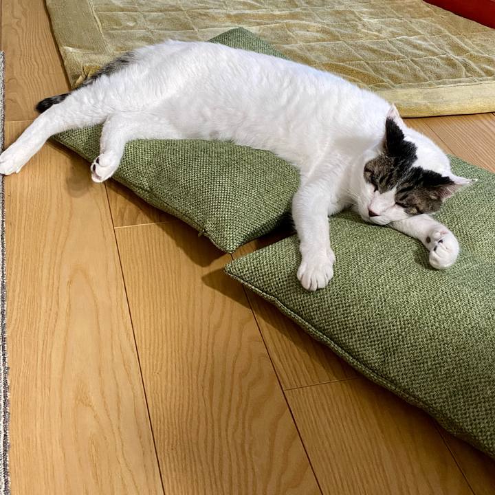 7266e7fe 8e67 4813 b1ec fad9ad0aae49 1672537907698