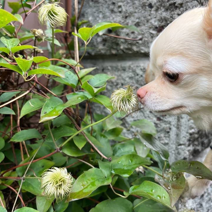 72672958 d8c9 4279 aa0d ae98ed400554 1655295812564