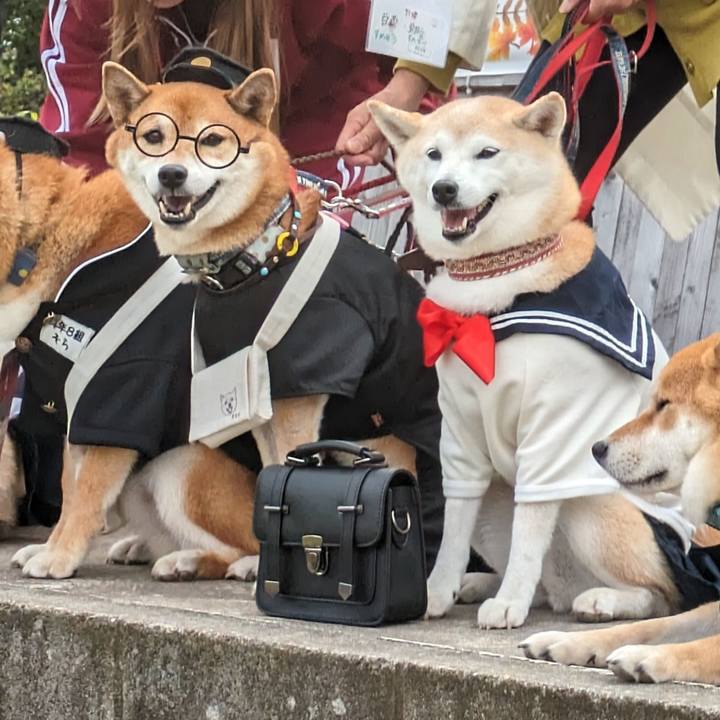 72672aaa 0fcb 4918 96a9 2d682e4a6837 1699580229315