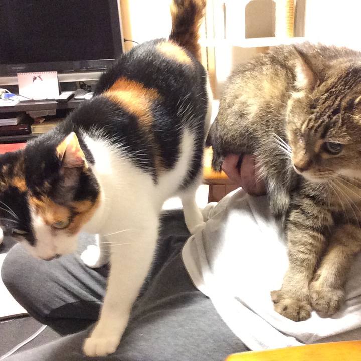 72673bcc 390a 4e57 b727 740aaebde773 1560724314434