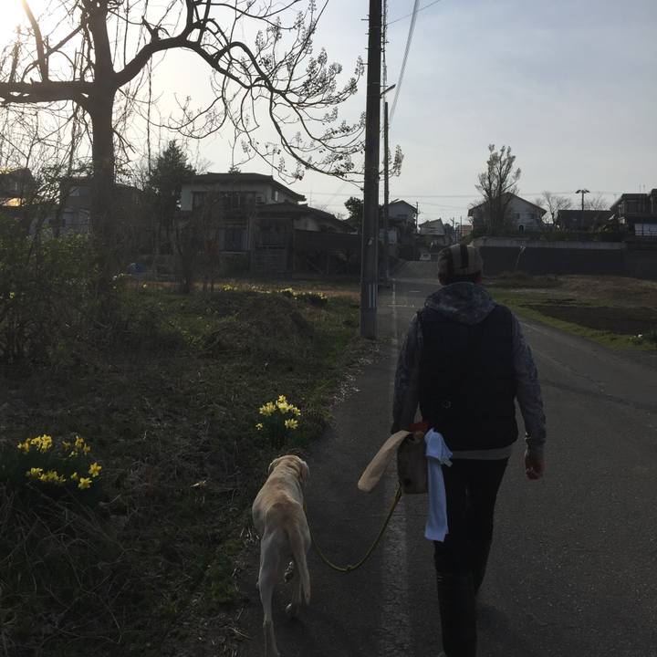 726741a2 62d5 452d a70d 3f6553f5c856 1551605952732