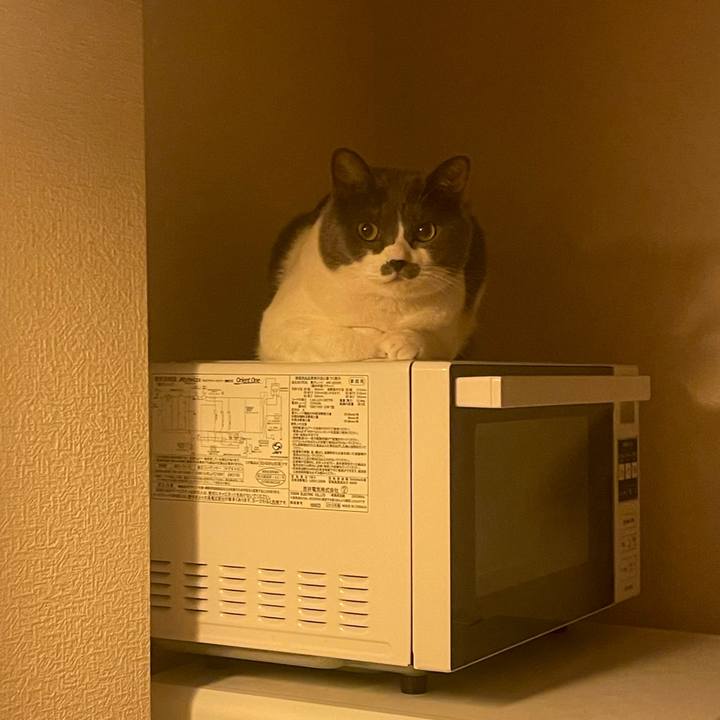 726768d6 a5c0 4ca6 a46c 04c5cb19b85c 1722941213388