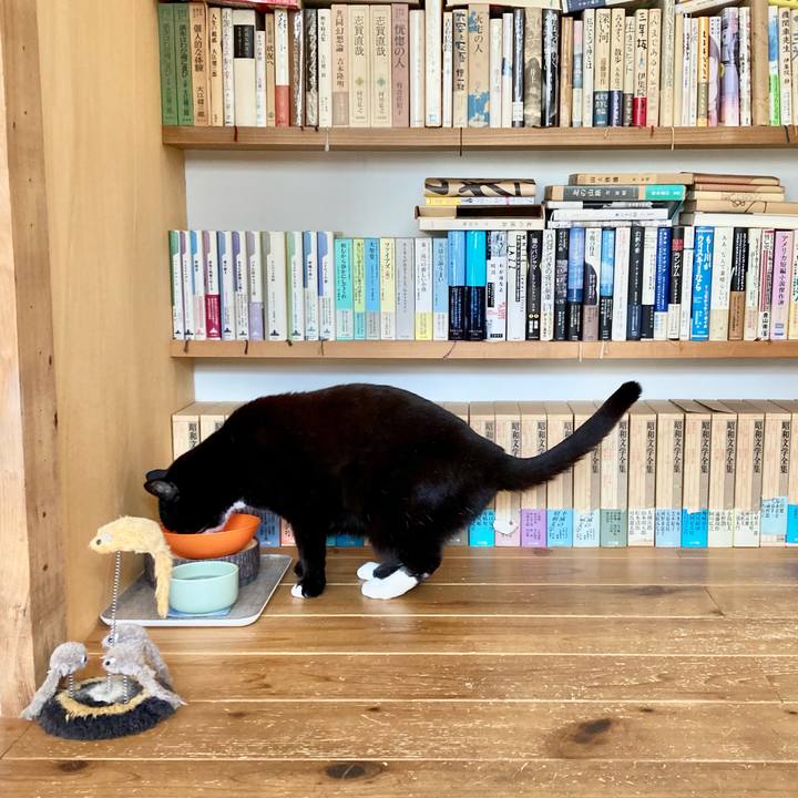 7267ab4a 7c18 42ee a748 ffe2cf74e482 1613787393294