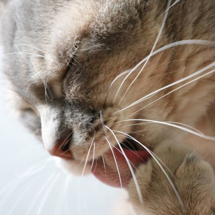 7267df50 2a35 4a23 90ec 035cec2e2a5f 1514252311843