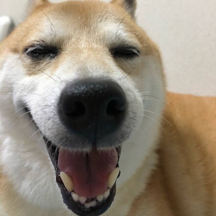 72680115 9171 4557 b6ce 344e842e3102 1566804489724