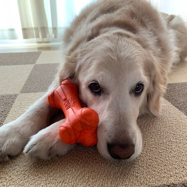 72681ca9 9cd0 4af2 bb59 3e3242f69c1b 1616369095035