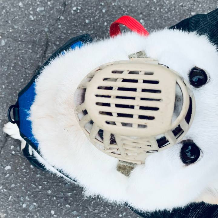 72686c2f 68d5 4a10 adef 1d749669a754 1622494769036