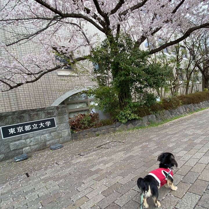 7268d393 46cf 4437 abb1 2aa29ce2ddcb 1680051723137