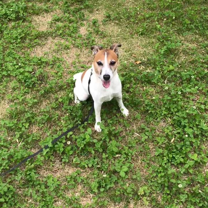 7268d42e b563 44da bf8f a2b958bf785f 1526205234907