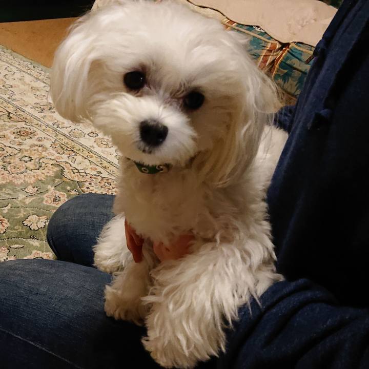 7268ecd9 c805 4b66 be4a 44885fa0490f 1588067993531