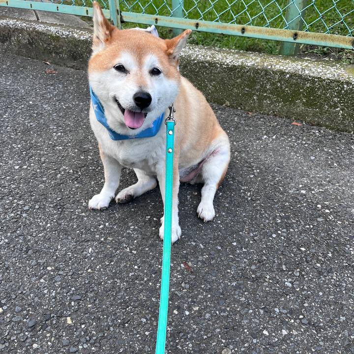 7268f06c ce8e 4fdb 9c76 3284dee0ee30 1724070077080